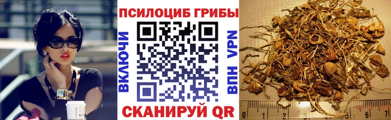 Галлюциногенные грибы Psilocybine cubensis  хочу наркоту  Ардон 